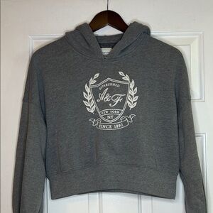 Abercrombie & Fitch Gray Cropped Hoodie